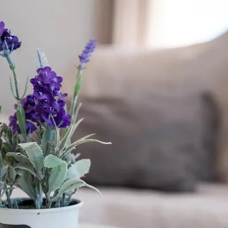 Lägenhet Casa Calas Torrevieja