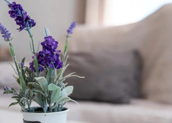 Apartamento Casa Calas Torrevieja